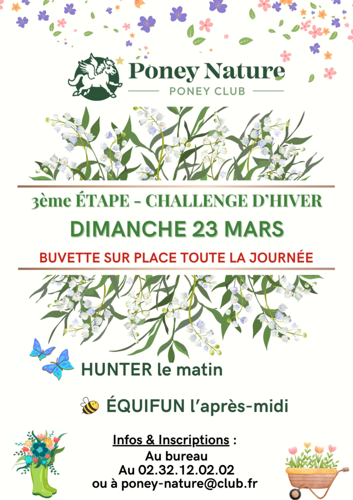 challenge 3.png