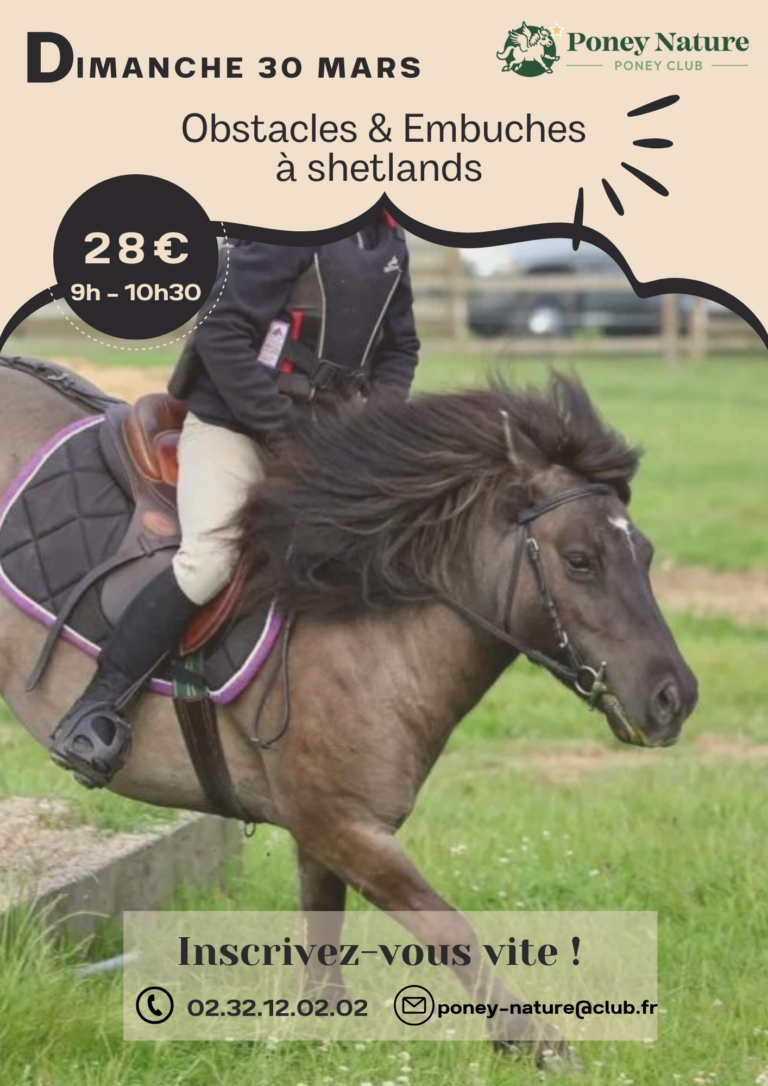 Denim Brown Horse Riding Training Classes Animated Story (Document (A4))