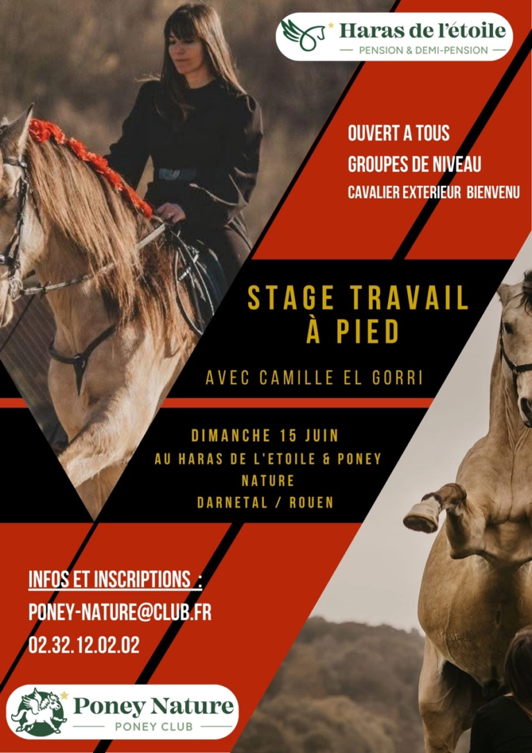 Jaune et Noir Cheval Affiche-2 - Grande